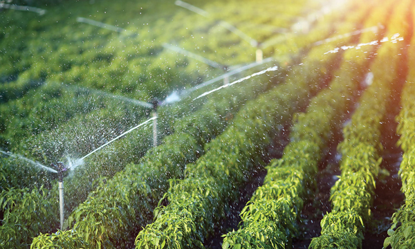 Agriculture